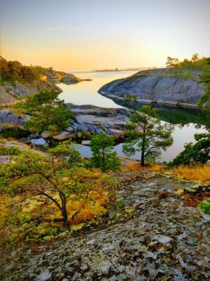 Anders Lundin